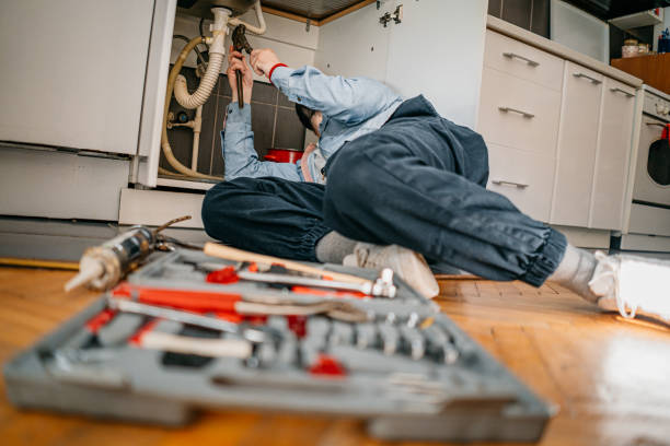 Best Local Plumber Services  in South Bradenton, FL